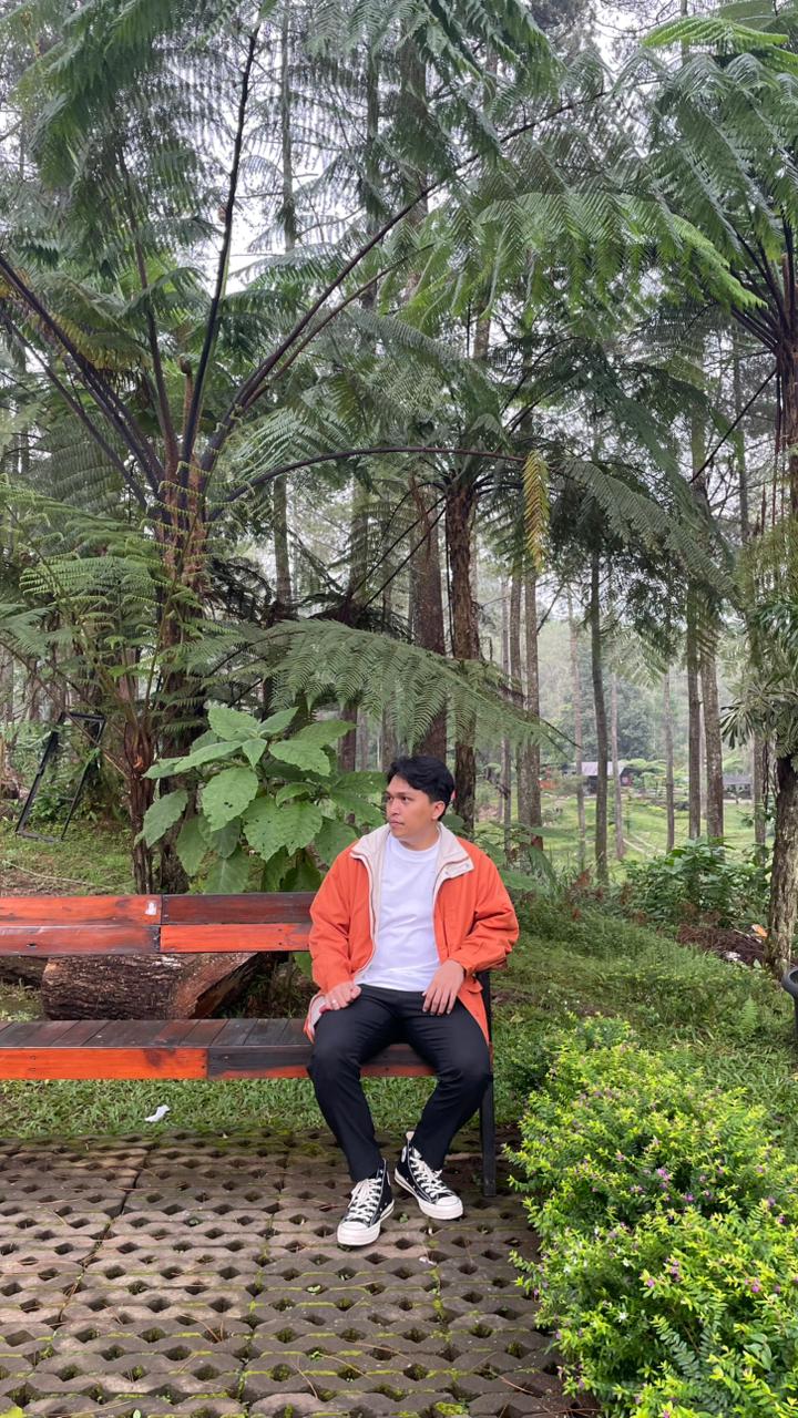 Pine forest in Bandung